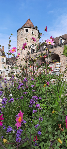 JOURNÉES DU PATRIMOINE