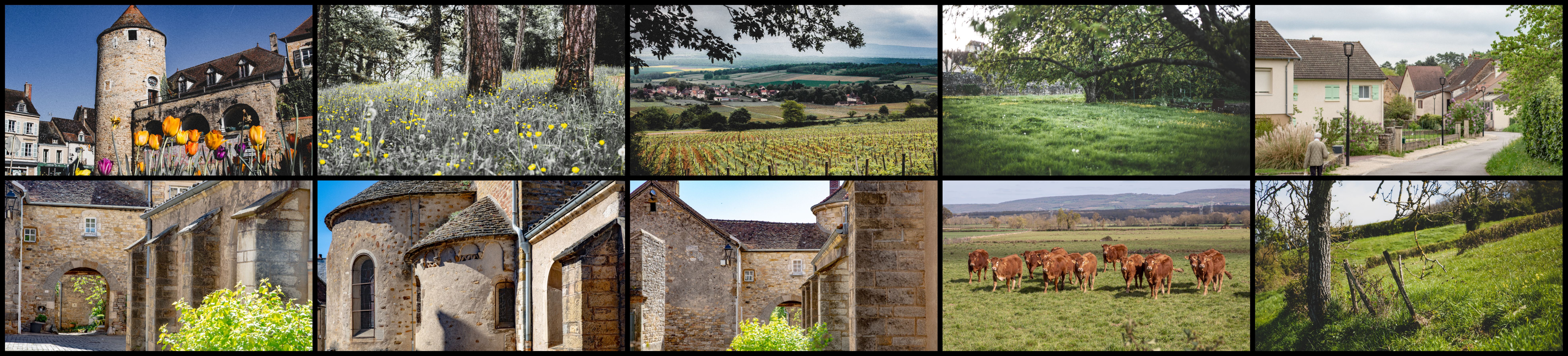 Bannière Commune de Buxy