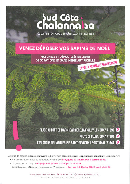 🌲  Broyage des sapins de Noël
