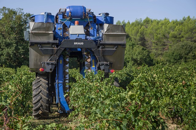 VENDANGES 2023 Horaires de récolte