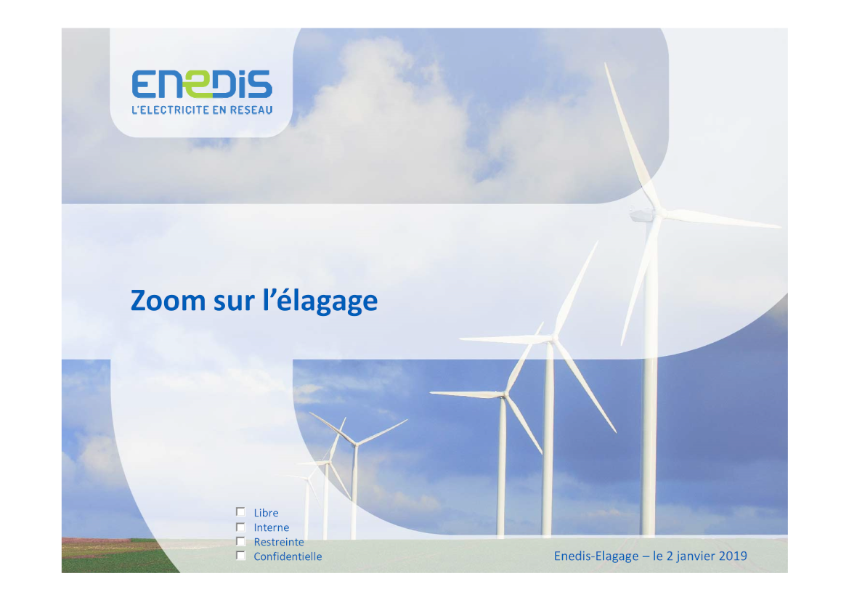 ENEDIS - Elagage à proximité des lignes électriques